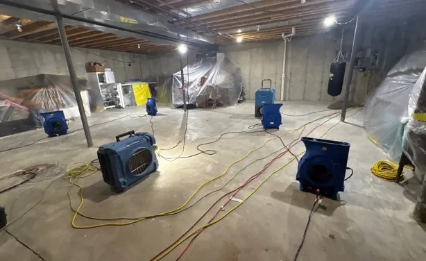 Basement Water Extraction in Broadview Park, FL