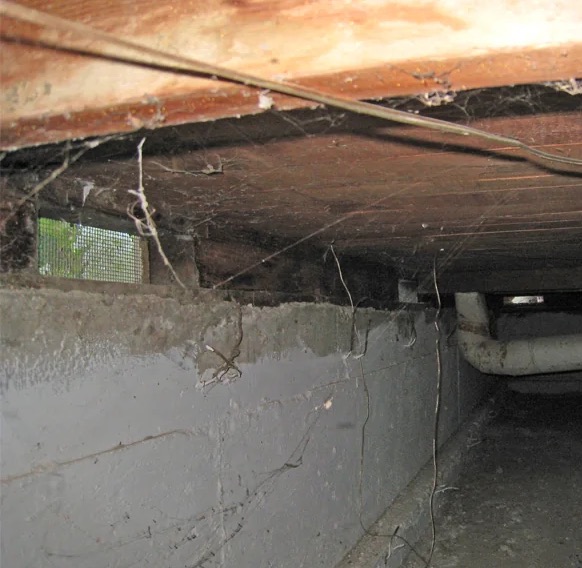 Crawl Space Water Extraction in Tamarac, FL