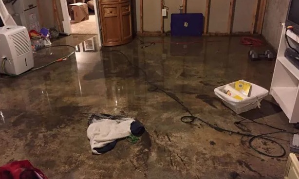 Same Day Water Removal in Broadview Park, FL