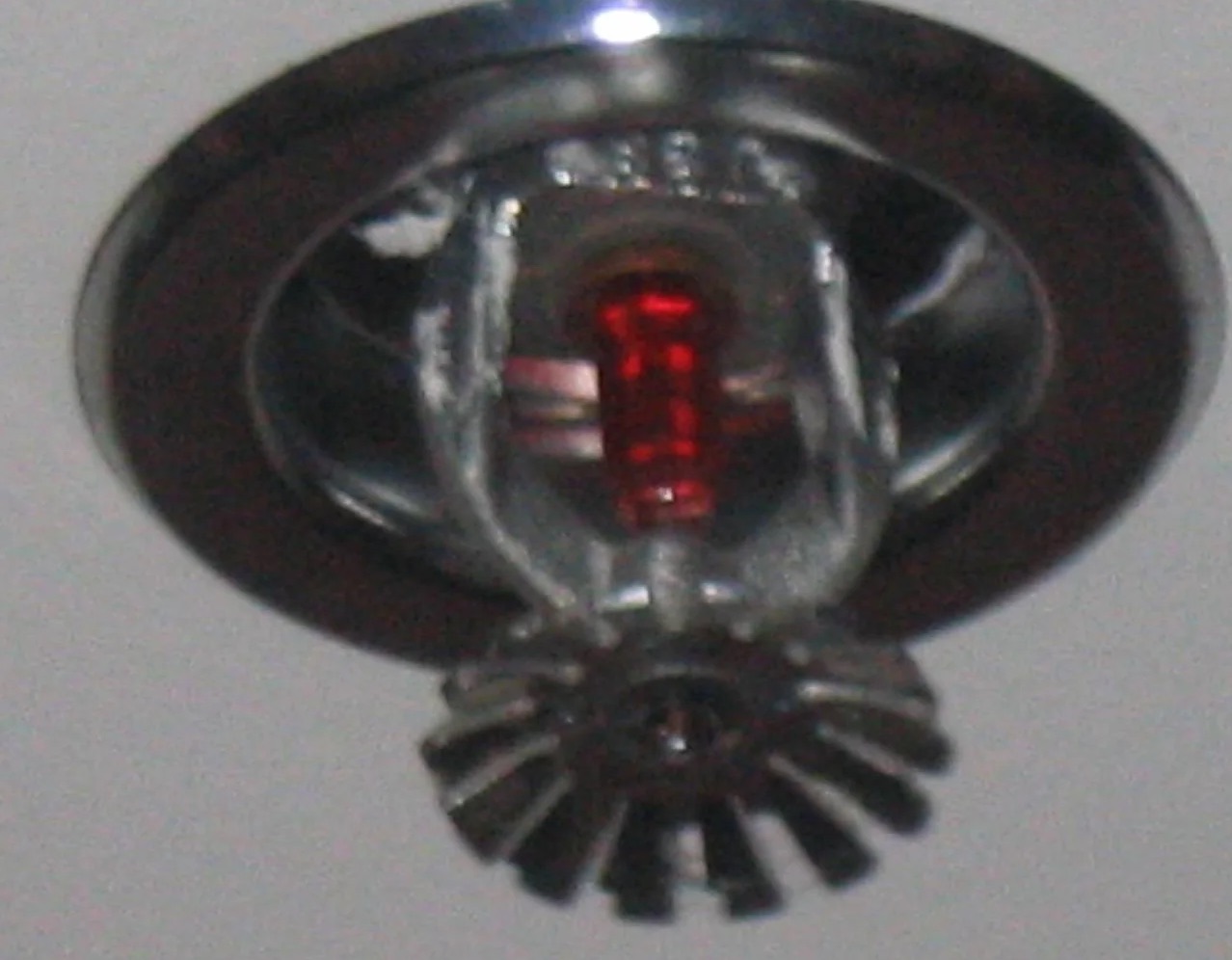 Sprinkler System Water Removal in Tamarac, FL