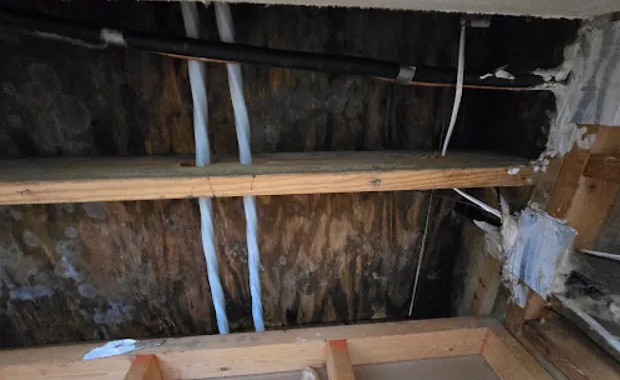 Attic Water Extraction in Sunrise, FL