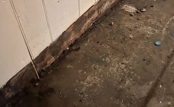 Sewage Water Extraction in Lighthouse Point, FL
