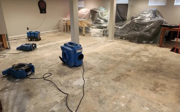 Moisture Detection Services in Wilton Manors, FL